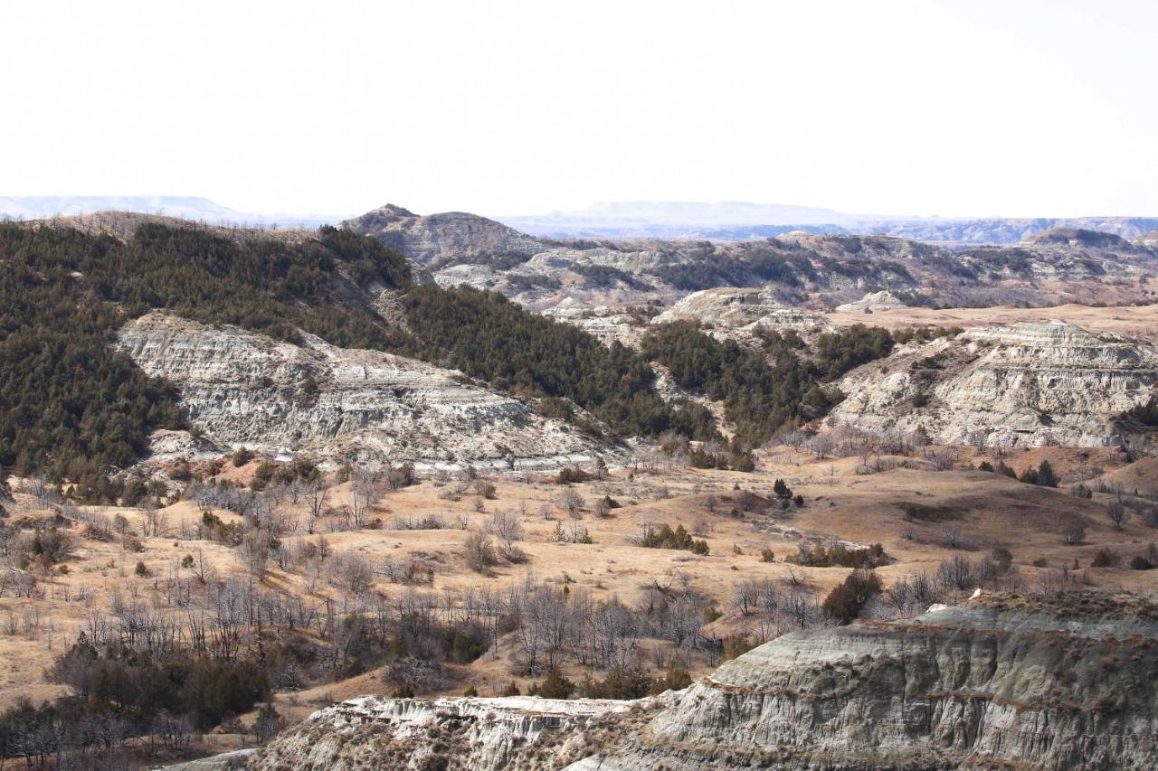 Badlands Suite Less Than 1 Mi To Teddy Roosevelt Park! Medora Exteriör bild