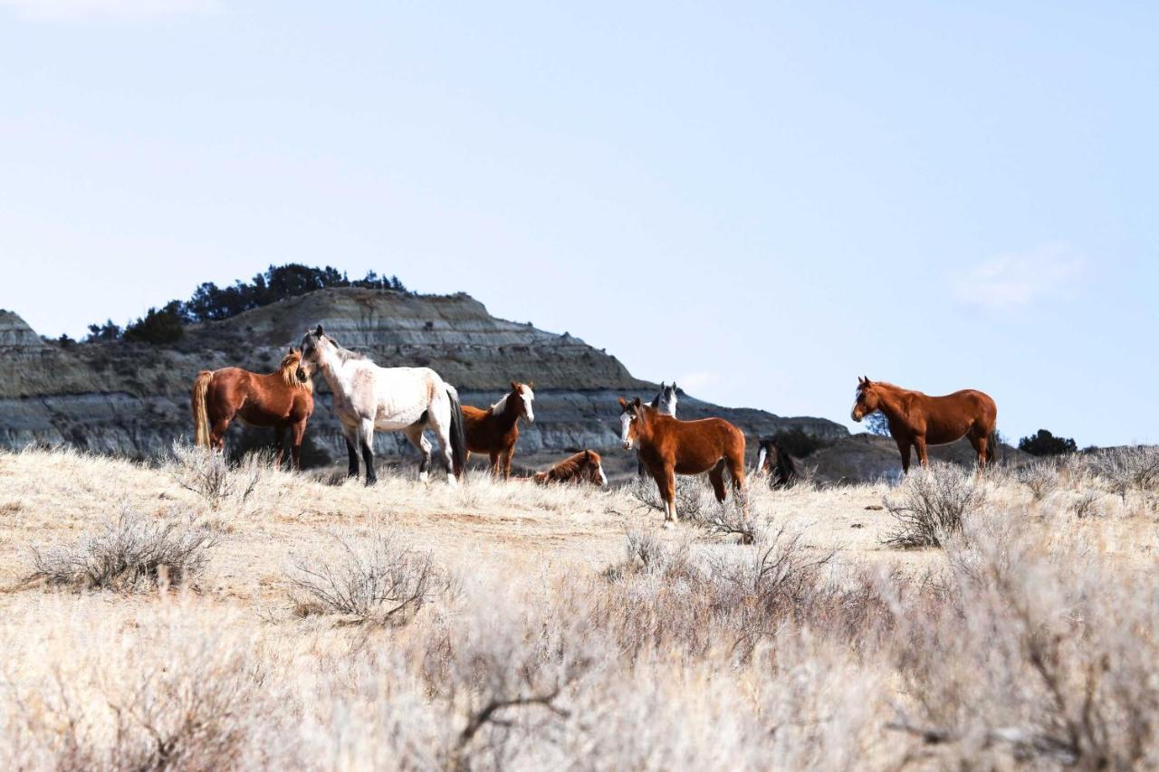 Badlands Suite Less Than 1 Mi To Teddy Roosevelt Park! Medora Exteriör bild