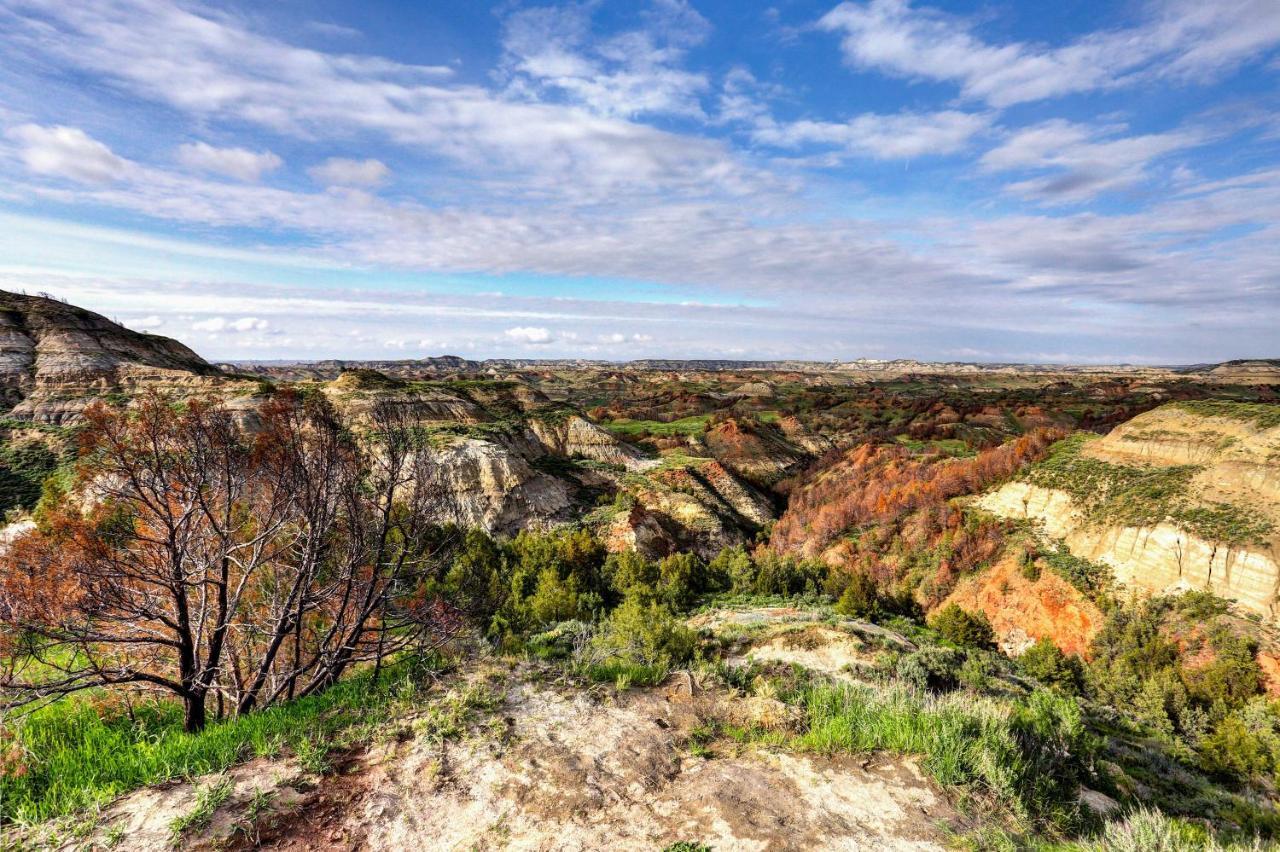 Badlands Suite Less Than 1 Mi To Teddy Roosevelt Park! Medora Exteriör bild